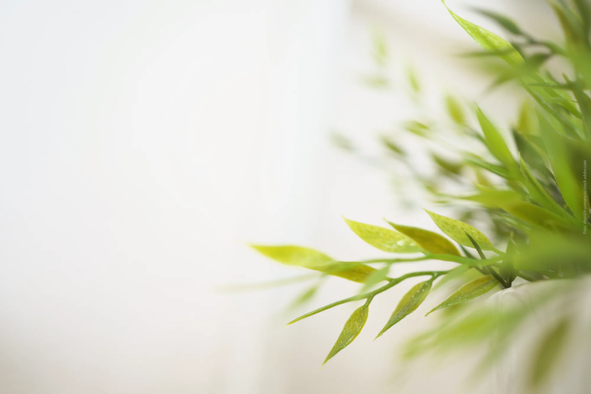 Mediation, Konfliktberatung, Life-Coaching