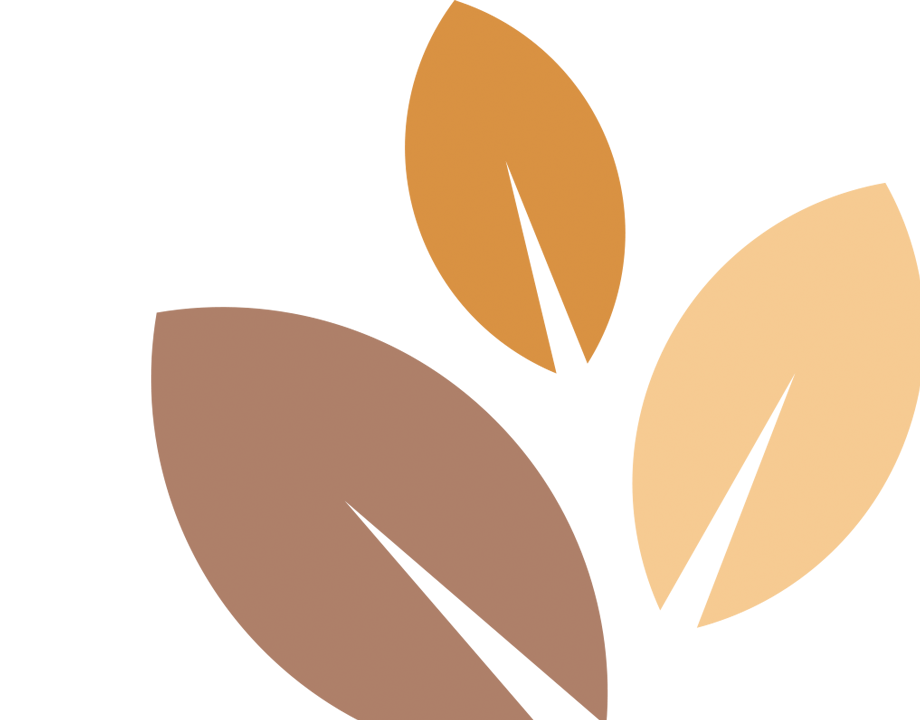 Mediation, Konfliktberatung und Life-Coaching in Bonn, Tannenbusch, Beuel, Bornheim, Poppelsdorf, Alfter